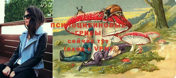 дмт Лиски